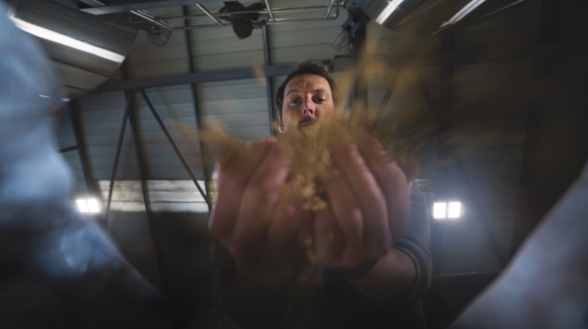 Close-up of brewing grain held in hands, from the Verdant x Tate craft brewery brand film shoot
